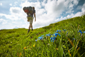 Hikers on the Klewenalp near Beckenried in Switzerland Hikers on the Klewenalp near Beckenried in Switzerland
